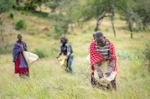 AFCIA Grantee 'Savanas Forever' in Arusha, Tanzania